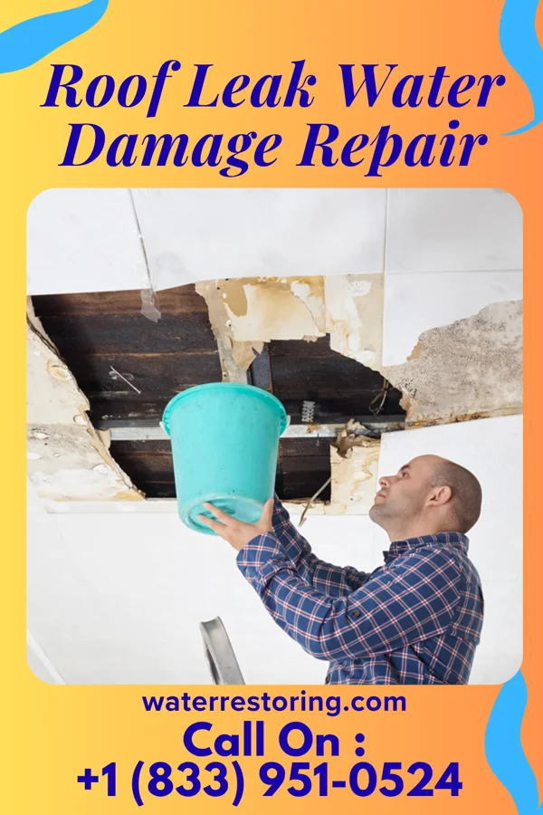 Roof Leak Water Damage Repair in Chelsea, OK